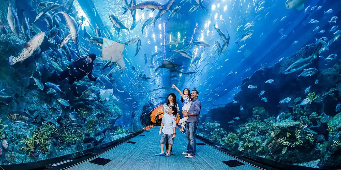 one-day-at-the-dubai-mall-aquarium-dubai-mall-2