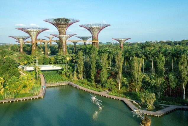 For a 1 week visit to Gardens by the Bay in Singapore, you have ample time to explore the diverse attractions and activities the garden offers.